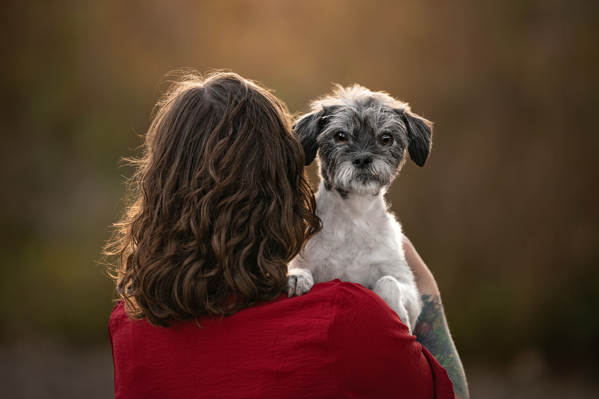 dog and owner walking into sunset