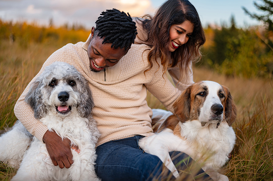 family with their dogs in Edmonton field