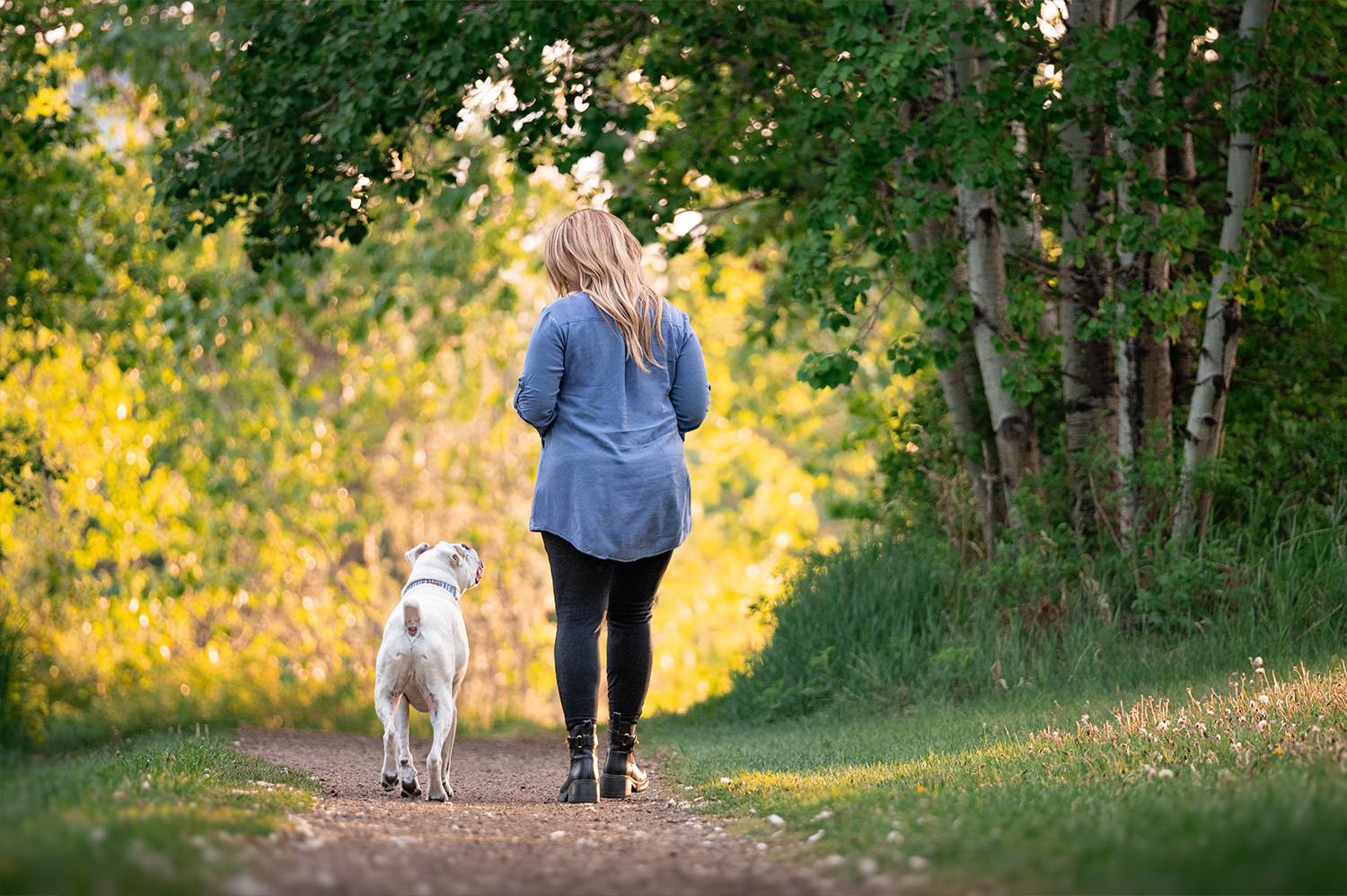 Button dog and owner walking into sunset